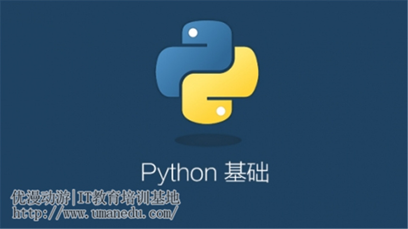 爆火的Python到底是什么？